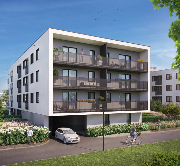 Grafika Wilno 4.3